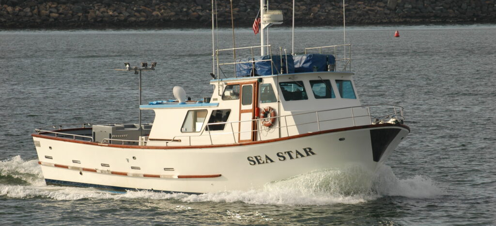 Sea Star Burials at Sea in Oceanside CA Sea Burials in San Diego & Oceanside CA